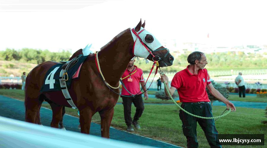 MK体育APP激情拼搏，共赢未来！